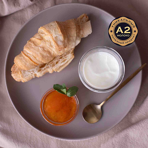 Йогурт греческий «Сальково» с абрикосовым вареньем